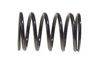 EZGO Valve Spring (Years 1991-Up)