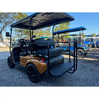 2019 EZGO STORM Lithium 4 passenger Golf cart