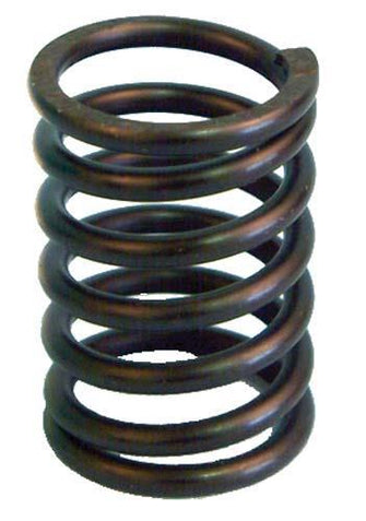 Club Car DS / Precedent Valve Spring FE290 (Years 1992-2005)