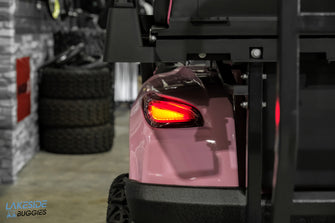 2025 VIBE EV - EV4  Awareness Pink 4 Passenger Street Legal Golf Cart