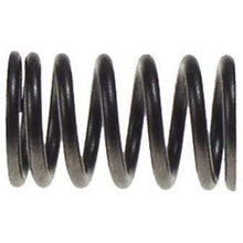 Lakeside Buggies Club Car FE350 Valve Spring (Years 1995-Up)- 6829 Club Car Engine & Engine Parts