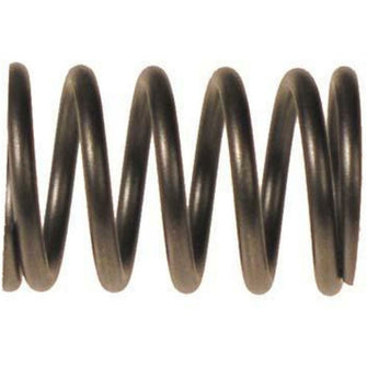 Lakeside Buggies EZGO RXV Valve Spring (Years 2008-Up)- 7618 EZGO Engine & Engine Parts